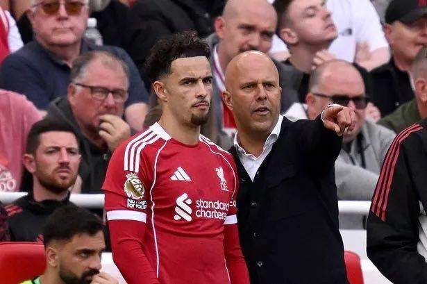 1765411132011050310.jpg liwupu.jpg